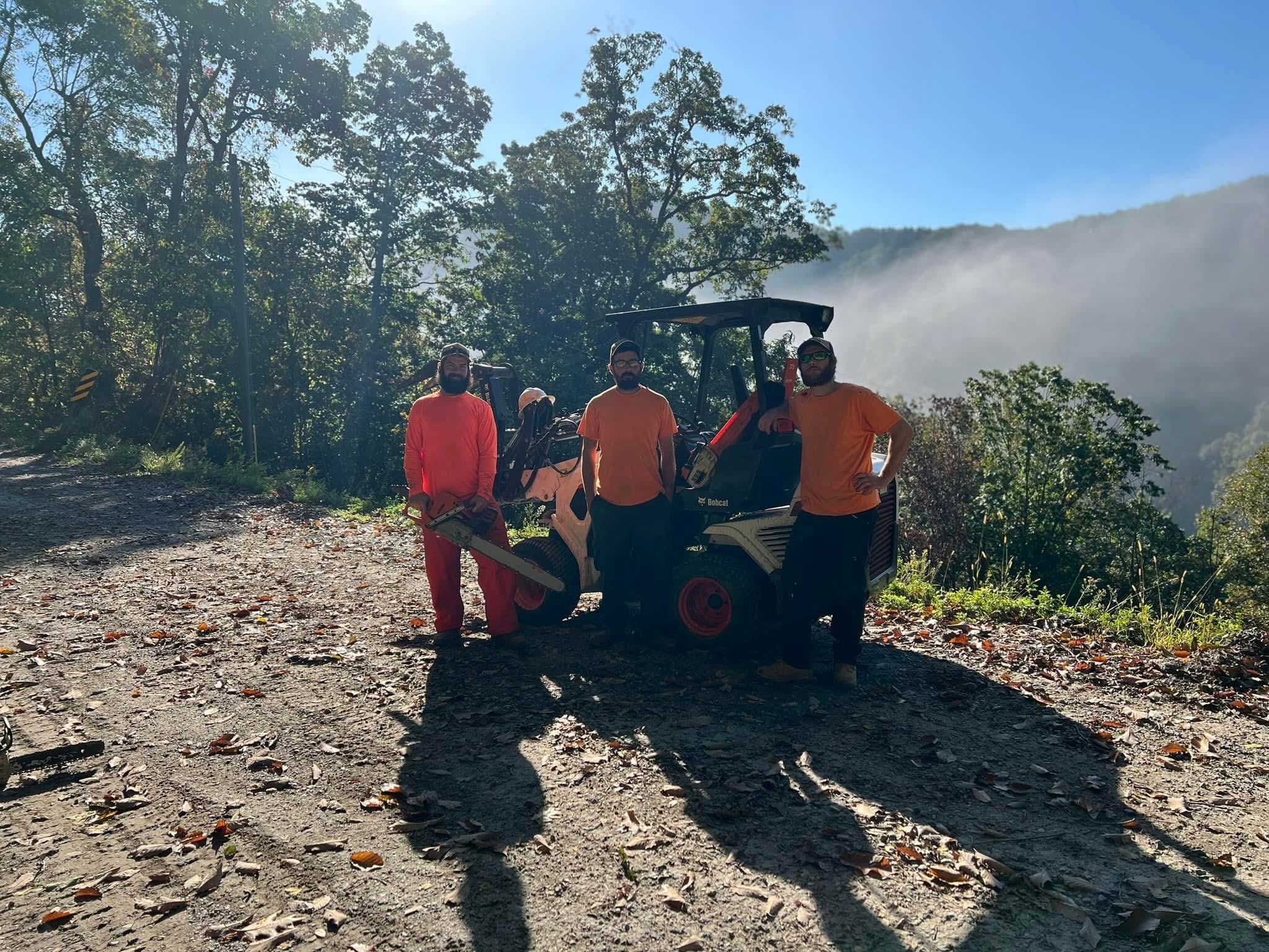 HOA & Community Tree Care