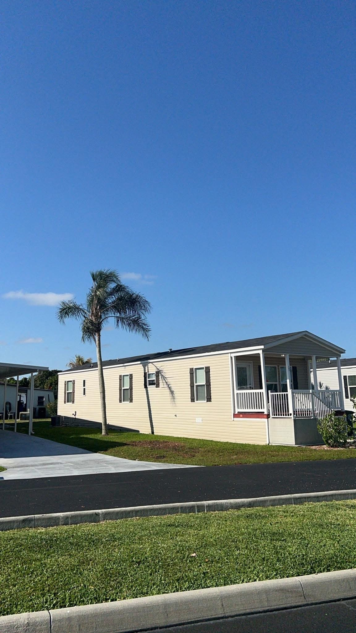 After: Dead Norfolk Pine Removal — Mobile Home Community
