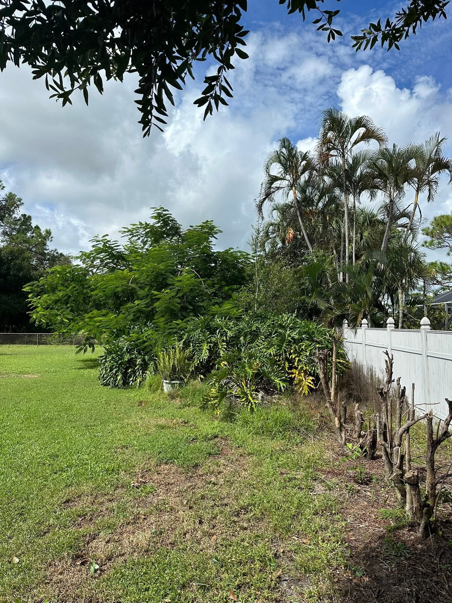 Before: Fence Line Cleared — Residential Property