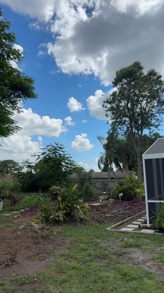 After: Two Ficus Trees Removed — Residential Backyard