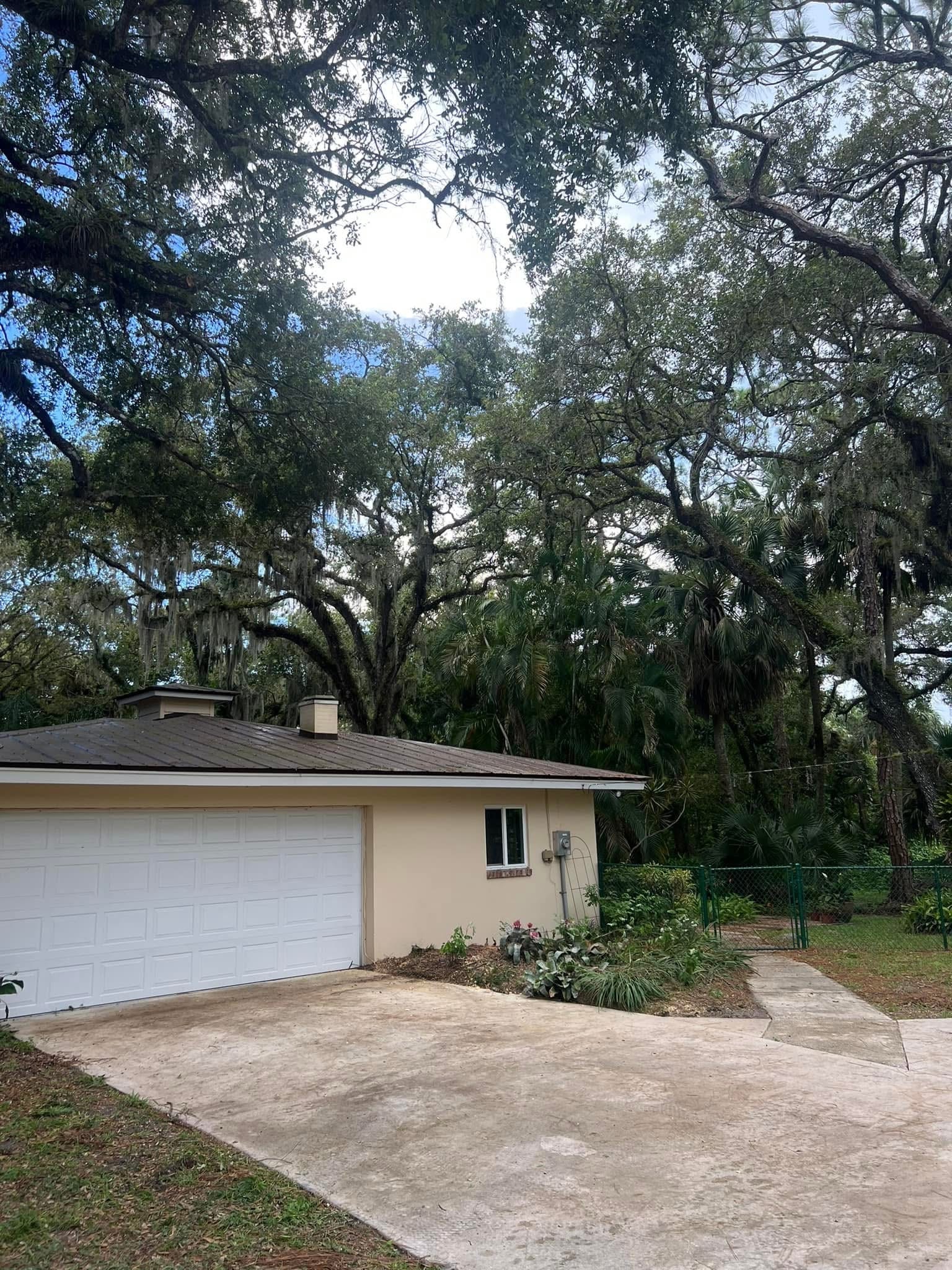 After: Tree Grown Against Home — Residential Property