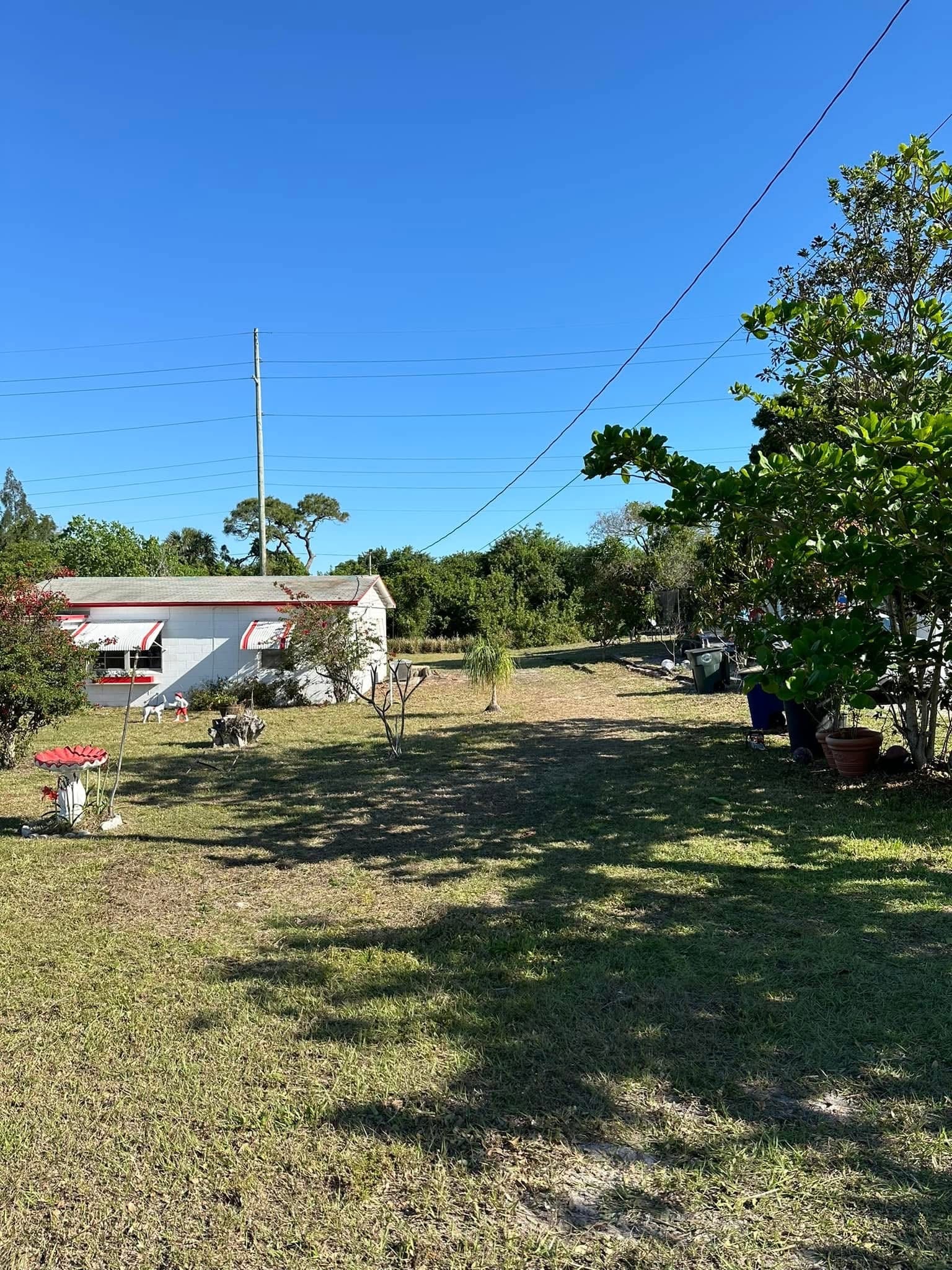 After: Large Hazardous Oak Removal — Residential