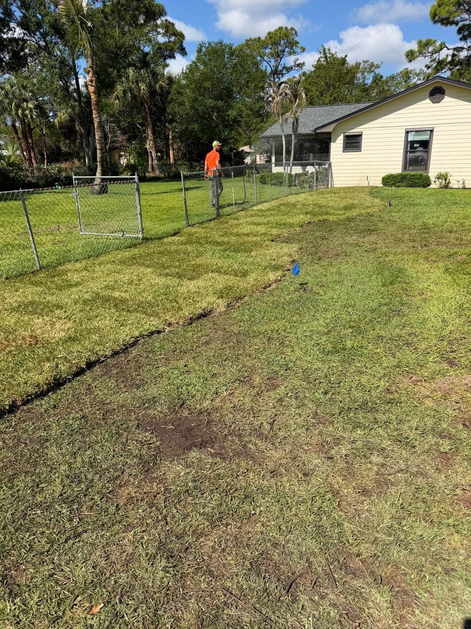 After: Hedge Removal, Grading & Sod Install — Residential