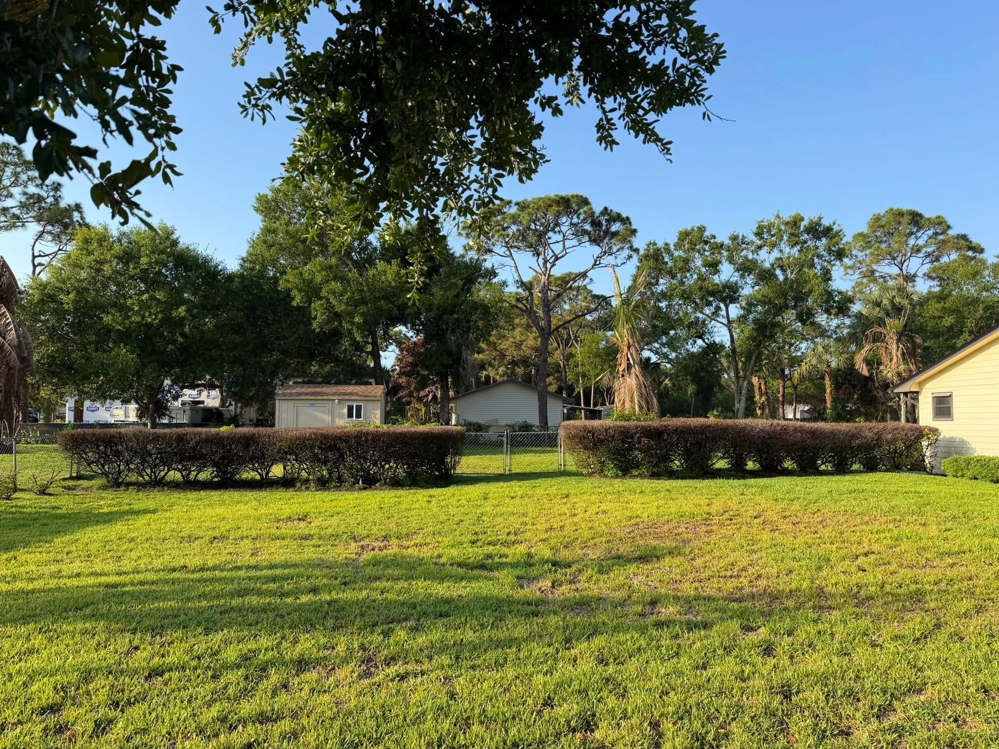 Before: Hedge Removal, Grading & Sod Install — Residential