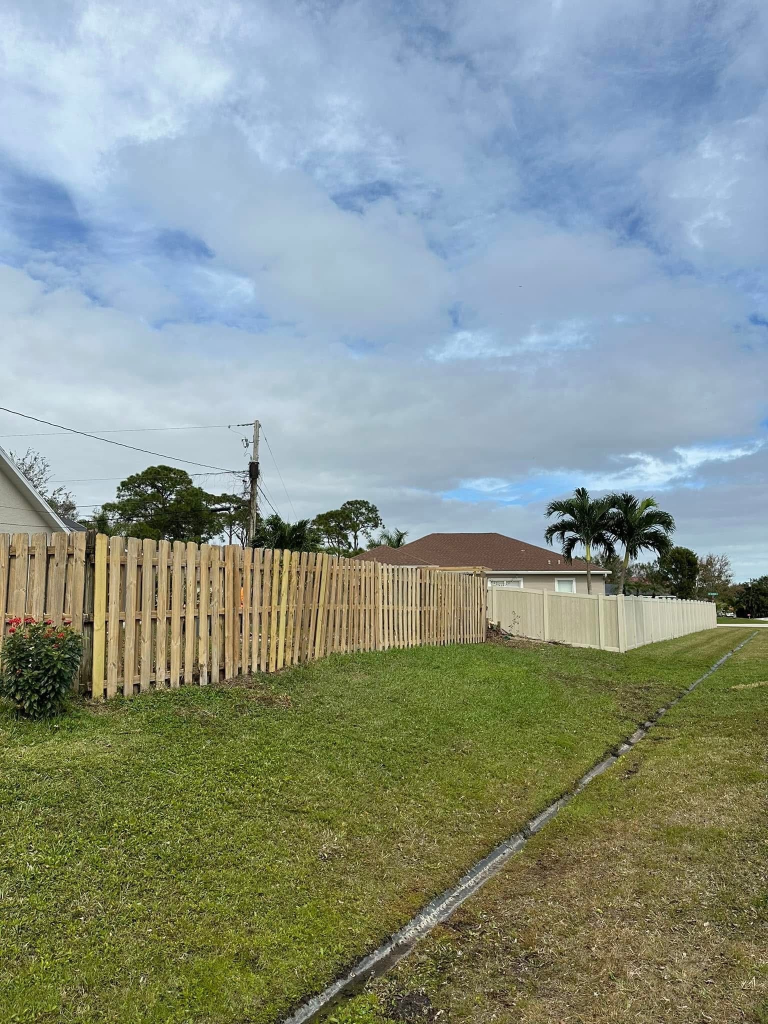 After: Large Ficus Tree Removal — Residential