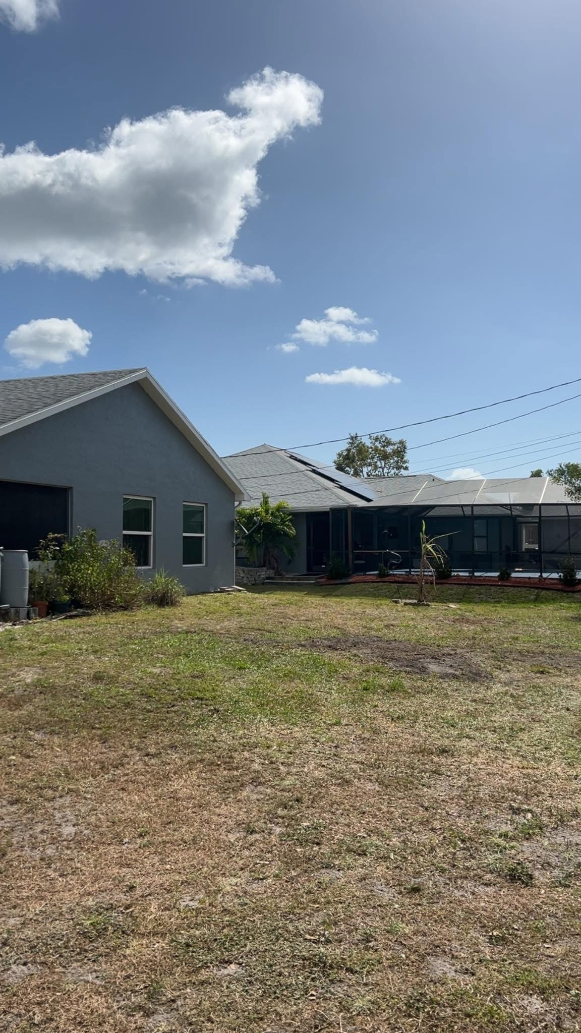 After: Large Mango Tree Removal — Residential