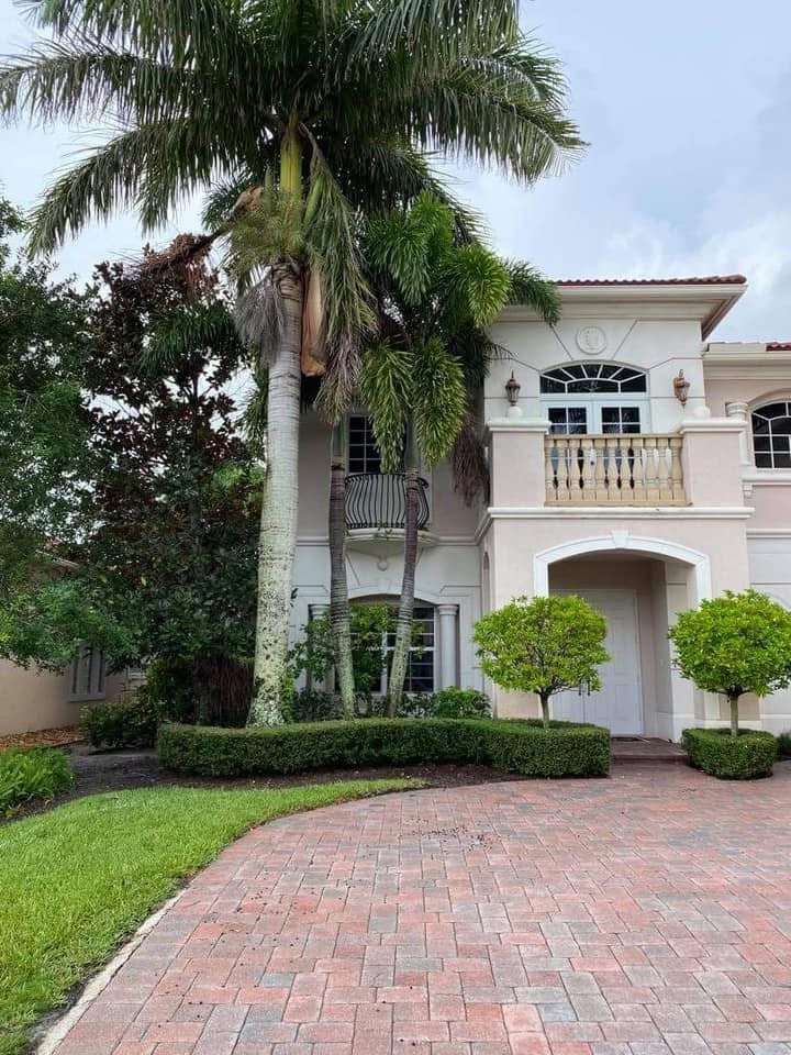 Before: Palm Trimming & Tree Removal — Luxury Residential