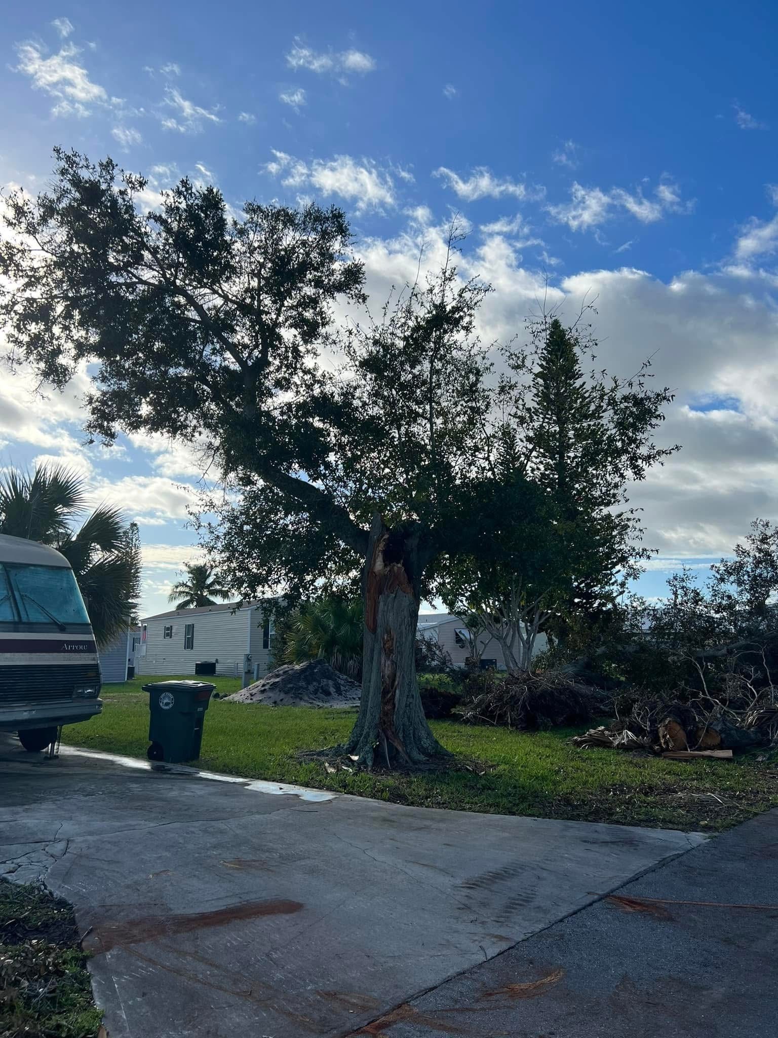 Before: Full Community Grounds Cleanup