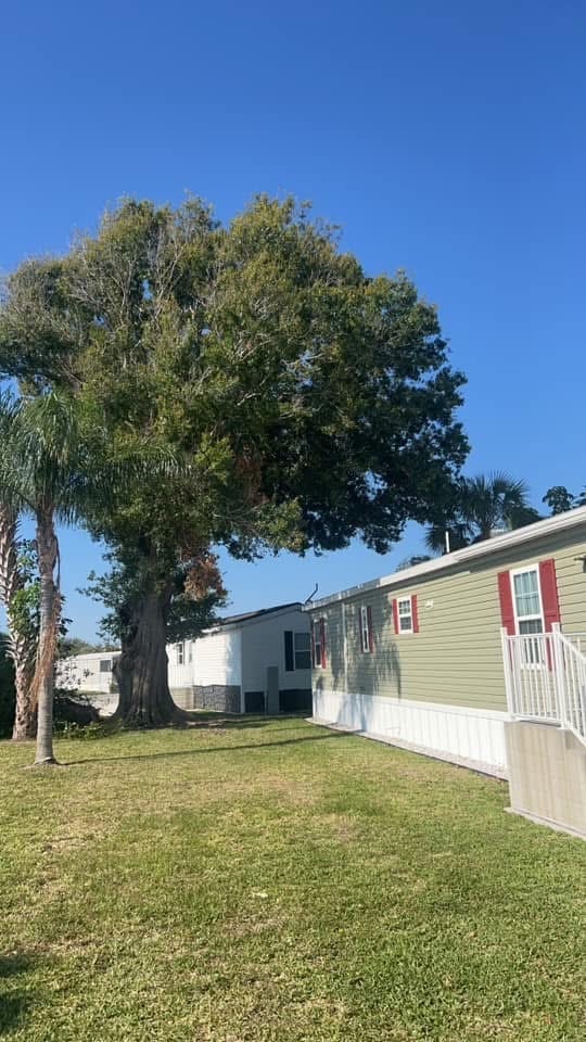 Before: Large Oak Removal — Mobile Home Community