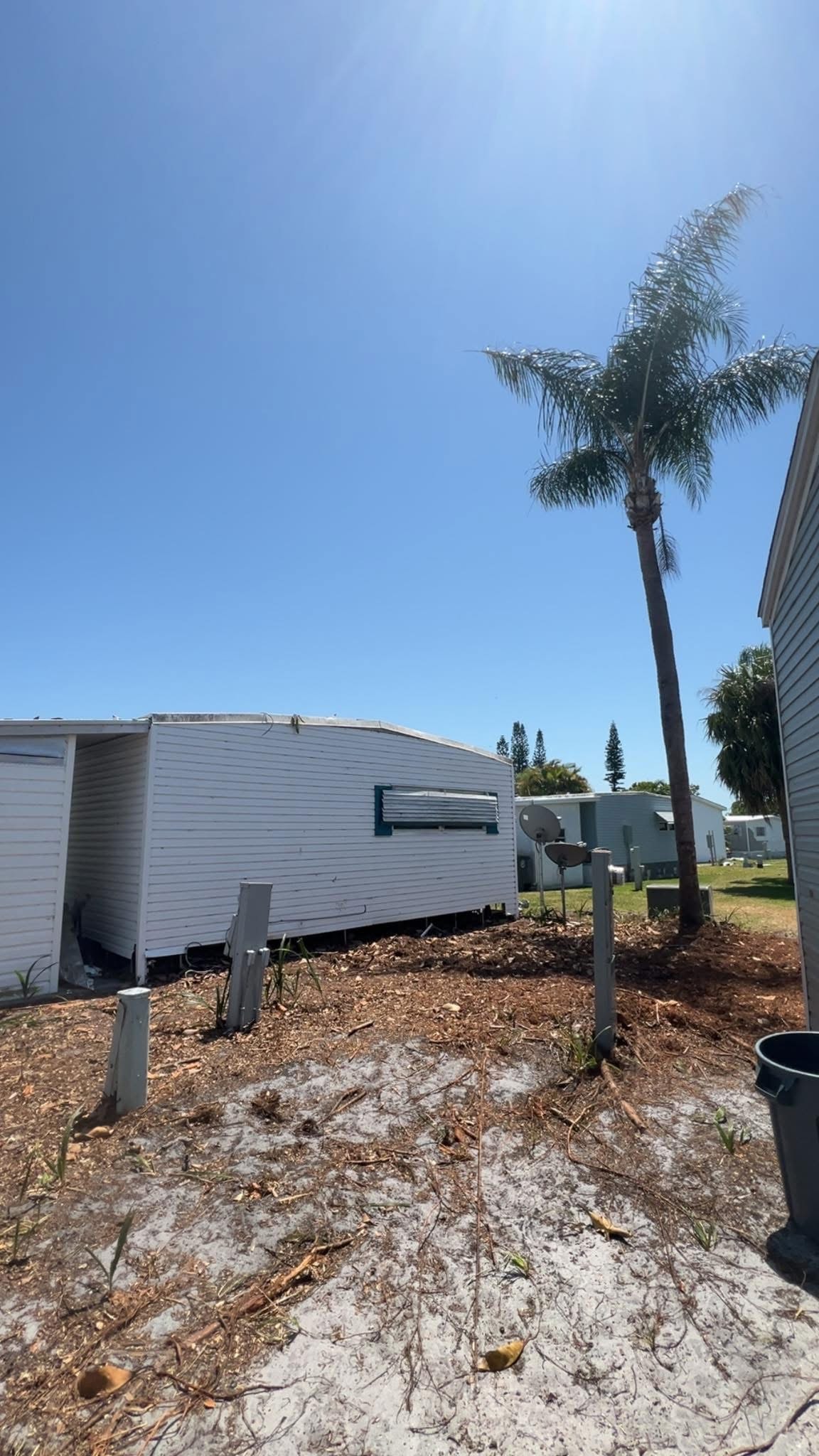 After: Palm Trimming & Tree Removal — Residential