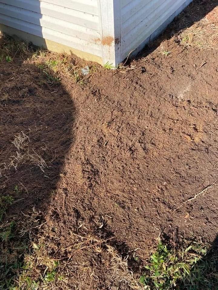 After: Large Stump Removal — Next to Structure